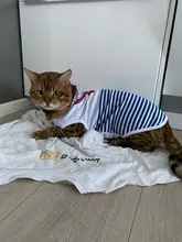 Miflame verano perro ropa para perros pequeños camisas pomerania ropa Bichon frutas perro camisetas de dibujos animados mascota camiseta para perro ropa