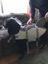 Vida de perro chaqueta Ripstop perro salvavidas tiburón chalecos con el rescate de mascota perro seguridad traje de baño para piscina playa de navegación