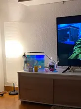 Colorido Artificial brillante efecto Medusa tanque de peces de acuario decoración Mini submarino ornamento decoración acuático suministros para mascotas