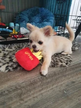 Juguetes de felpa para mascotas, patatas fritas, hamburguesa, perro, juguete divertido e interactivo para masticar morder