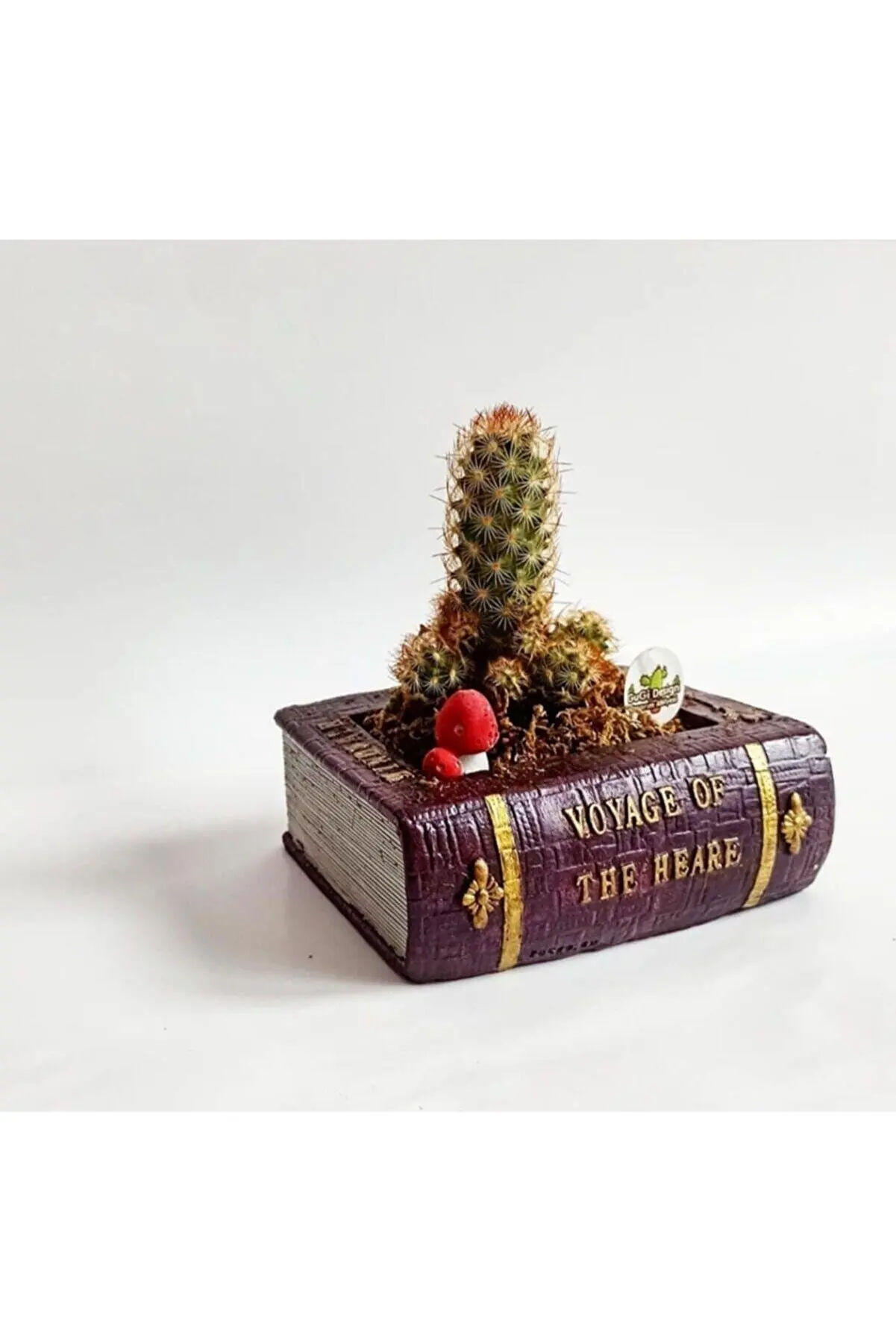 Vase Flower Antique Voyage Book Design Decorative Concrete Gift Pot Claret Red 14 Cm Creative Decoration Ornaments Resin Gift
Vase Flower Antique Voyage Book Design Decorative Concrete Gift Pot Claret Red 14 Cm Creative Decoration Ornaments Resin Gift