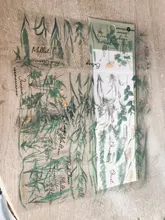 Mr.paper-paquete de 6 pegatinas de la serie Plant, pegatinas decorativas de hojas lisas, calcomanías para álbumes de recortes, Bullet Journal, pegatinas de papelería