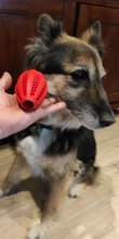 Suave juguete para perros perro de juguete pelota de elasticidad interactivo Toothclean mordedores de juguete para perros cachorro pequeño mediano grande suministros para mascotas perros