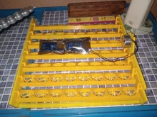Mini Incubator Hatcher Egg-Turning Automatic Tray-Tool 56-Eggs