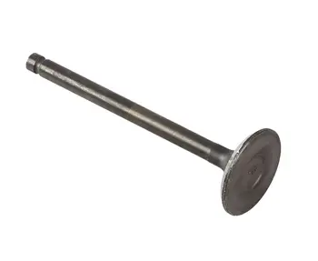 Valve exhaust Suzuki df100; df115w-140w; df100a-df140a 1291586f51000 
Valve exhaust Suzuki df100; df115w-140w; df100a-df140a 1291586f51000