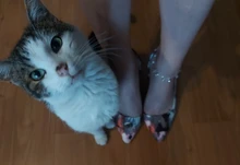 Tobillera de cristal con colgante Vintage para mujer, cadena de eslabones, Bohemia, Color dorado y plateado, para botas, joyería para pies, 2018