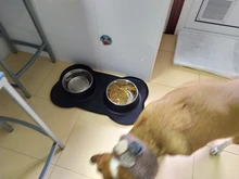 Cuenco antideslizante doble para perro con alfombrilla de silicona, cuencos de Alimentación de Mascotas duraderos de acero inoxidable Alimentador de agua para perros y gatos