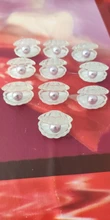 10 Uds. De conchas de perlas chapadas en Color Kawaii, cabujón para libro de recortes de resina, accesorios de decoración de joyería artesanal, E74