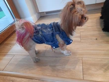 Chaqueta vaquera para perro, chaqueta vaquera azul con cara bonita, chaleco, ropa para cachorros, ropa de 6 tamaños