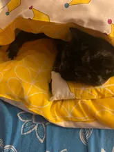 Casa de gatos extraíble Kawaii, productos para el hogar, cama de perro grande, cueva, comida cómoda