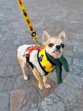 Scarf Jacket Dogs French Bulldog Winter Plush-Coat Pet-Dog Cotton Warm Thick for Puppy-Ropa-Perro