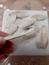 1 bolsa de Cuttlebone, Sepia, hueso, pescado, pájaro, comida, Pickstone de calcio, mascota