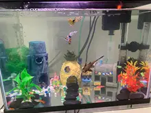 Pineapple-House Shrimp Resin Ornament Landscaping-Decor Fish-Tank-Decorations Burrow Aquarium