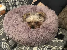 Bastante y mejor 18 colores largo perro de peluche 2017 Top papá Oso Polar animal camas calmante cama Hondenmand cachorro cojín para mascotas de invierno sofá cálido perro camas, perrera