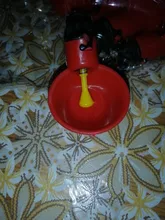 Taza colgante para pollos, bebedero de aves, cuenco de agua, vasos bebederos para patio trasero, riego automático de aves de corral, 5 uds.