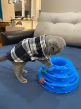 Ropa a cuadros para gatos pequeños, disfraces de algodón, abrigo suave para gatitos, chaqueta para cachorros, Otoño e Invierno