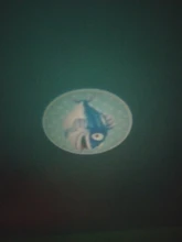 Dibujo de dinosaurio proyectores de juguete para niños, linterna, proyector, juguetes educativos para dormir