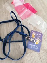 Correa para mascotas antideslizante, correa para el pecho de nailon resistente, cómoda, diseño de moda