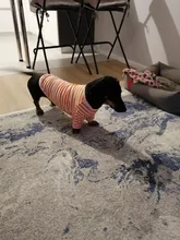 Camiseta fina de cuello redondo a rayas para cachorro perro mascota, ropa suave para perro