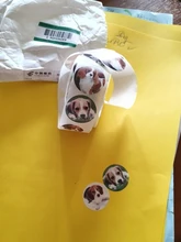 500 Uds lindo Animal perro pegatinas jungla fiesta cumpleaños regalo decoraciones torta etiquetas juguetes de fiesta para niños etiqueta personalidad álbum de recortes 1in