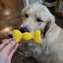 Toys Pets-Dog-Toys Chew-Bite-Toy Squeeze Bone-Shape Cute Funny Durability Sound Molars