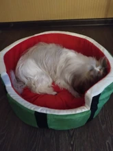 1pc Cute Kennel House Warm Cotton Watermelon Modeling Dog Bed Mat Sofa Pet Cat Bed