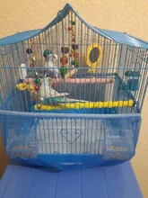 Mascota loro madera cruda Juguetes Para loros y mascotas jaula de pájaros perchas soporte plataforma pata molienda mordeduras Juguetes Para loro accesorios para mascotas