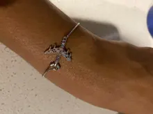 Nueva llegada cobre CZ aviones pulsera de cadena para las mujeres ajustable encanto volar avión joyería del brazalete de la mejor fiesta boda, viaje regalo