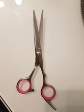 Scissors Pet-Supplies Dog Stainless-Steel Portable Cat And