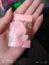 50 hojas de sol pegatinas de etiqueta de palo de Scrapbooking diario álbum papelería pintura flor etiqueta engomada Accesorios