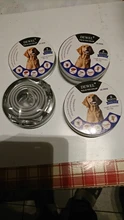 Dewel Collar Antiparasitos Perros/Gatos Contra Pulgas,Garrapatas y Mosquitos,Tamaño Ajustable e Impermeable para Mascota Pequeño Mediano Grandes
