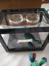 Mini acuario con lámpara LED USB para peces betta, tanque para peces con luz para lucha de peces