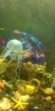 Ornament Jellyfish Aquarium-Decoration Fish-Tank Aquatic-Landscape Underwater-Live-Plant