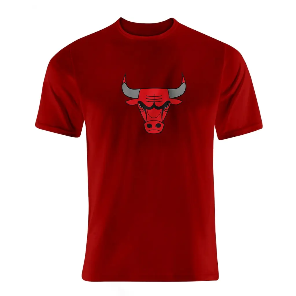 

Nba Basketball Chicago Bulls Team Logo Tshirt