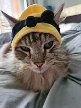 Gorro de algodón suave con dibujos animados para gatos y perros, gorro cálido, accesorios para mascotas, cinta del pelo de felpa, sombrero para mascotas