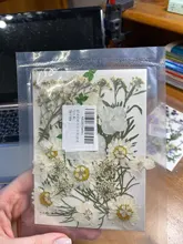 1 paquete Real secada de La Flor seca de las plantas para bricolaje molde Molde de resina rellenos de resina colgante collar joyería de uñas de arte UV Expoxy flor