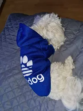 Ropa de invierno para perros medianos y pequeños, sudaderas cálidas con letras para Chihuahua, Yorkshire, Cachorro Bulldog Francés