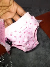 Pantalones fisiológicos sanitarios para mascotas, pañal lavable para perros, bragas, ropa interior para menstruación