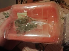 Peine de masaje para gatos, rascador automático, cepillo de esquina de pared, cerdas para rascar, arco de juguete para mascotas, herramienta de depilación de plástico