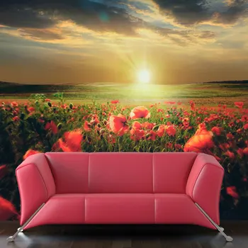 Wall mural-meadow poppies: Morning-250x193 cm
Wall mural-meadow poppies: Morning-250x193 cm