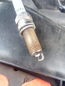 ライトトラップ ライトトラップシステム 200V 250W 三脚セット ライトトラップシステム