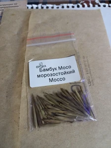 Бамбук Мосо морозостойкий семена 30 ШТ | AliExpress