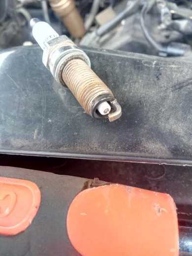 ライトトラップ 灯火採集 ライトトラップシステム200v 250w ライトトラップシステム