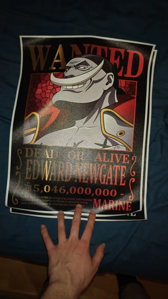 Canvas Poster One Piece Bounty Wanted Sabo Bandai | AliExpress