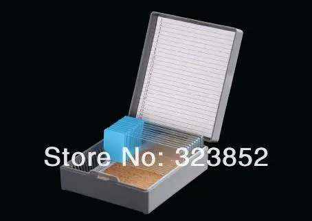 31012025AG