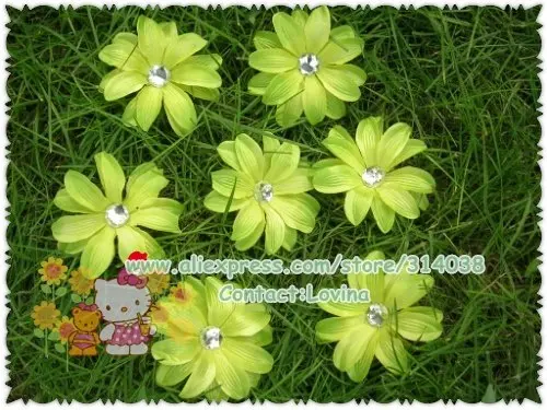 DSCN9783.jpg