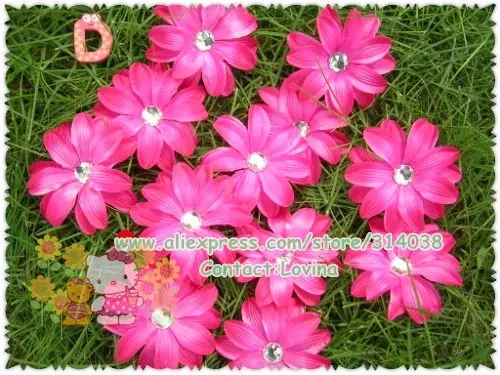 DSCN9776.jpg