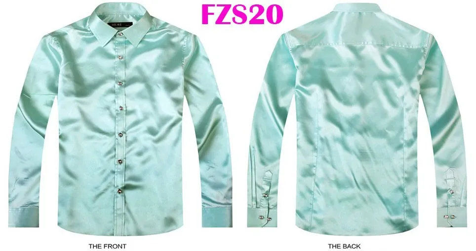 FZS20
