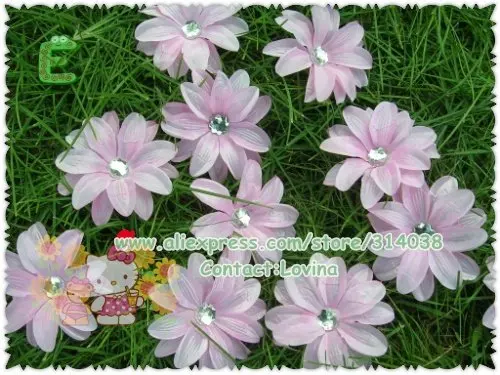 DSCN9777.jpg