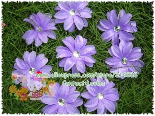 DSCN9780.jpg